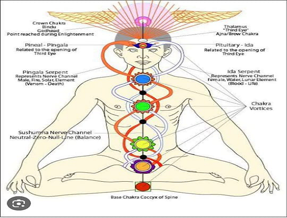 Service Provider of Chakra Physique in New Delhi, Delhi, India.